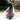 Twilight Enchantress Cloak