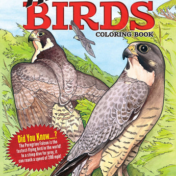 Amazing Birds Coloring Book