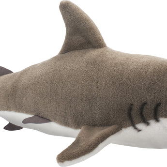 Fin Great White Shark