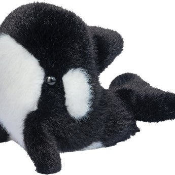 Lil' Baby Orca Whale