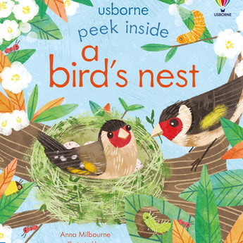 Peek Inside a Bird's Nest