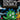 Scratch Scribble Mini Dino
