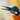 LEGO® Icons: Kingfisher Bird