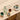 LEGO Botanicals: Lucky Bamboo