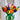 LEGO Botanicals: Tulip Bouquet