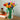 LEGO Botanicals: Tulip Bouquet