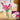 LEGO® Botanicals Cosmos Flowers