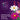 LEGO® Botanicals Cosmos Flowers