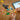 LEGO Creator: Wild Animals: Tropical Toucan