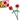 LEGO® Iconic Roses