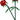 LEGO® Iconic Roses