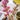 LEGO® Flowers: Cherry Blossoms
