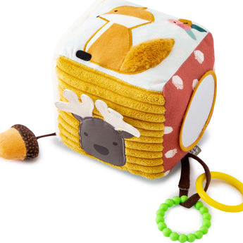 Activity Cube - Forest