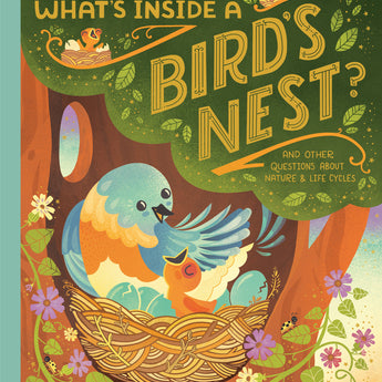 What's Inside A Bird's Nest?: And Other Questions About Nature & Life Cycles