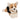 Konner Tri-Color Corgi