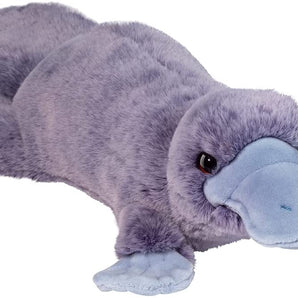 Allie Platypus