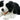 Border Collie Puppet