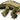 Alligator Puppet