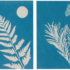 Solar Print Kit