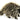 Porcupine Puppet