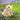 Small Lamb Puppet