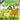 Horses & Ponies Coloring Book
