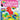 Rainbow Gummy Candy Lab