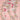 Cherry Blossom Journal