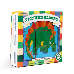 Dinosaur Picture Blocks