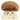Brown Mushroom Palm Pal