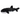Barnacle Whale Shark