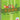 F.O.R.K. Pocket Edition