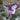 Ombre Butterfly Soft Wings