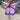 Mystical Monarch Soft Wings