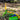 Dino-Soar Stomp Rocket