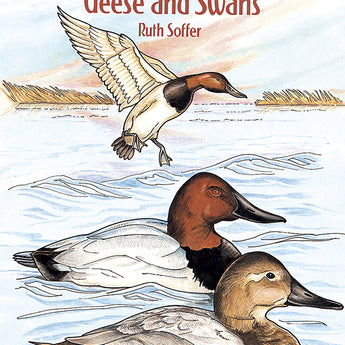North American Ducks, Geese and Swans Coloring Book