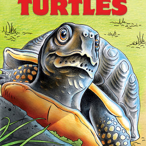 The World of Turtles Coloring Book