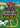 Little Animal Friends Mazes