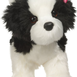 Poofy Shih-Tzu