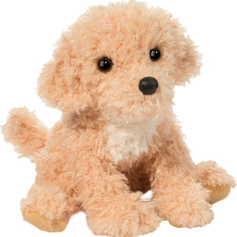 Noodle Goldendoodle