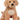 Noodle Goldendoodle, Large