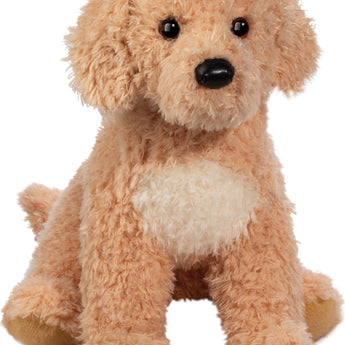 Noodle Goldendoodle, Large