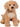 Noodle Goldendoodle, Large