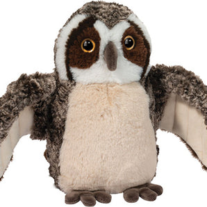 Echo Owl