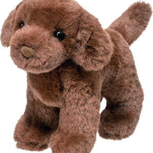 Sylvia Chocolate Lab