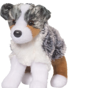 Steward Aussie Shepherd