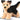 Sheba German Shepherd