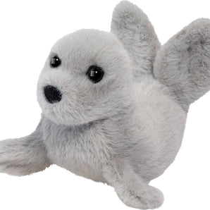 Little Baby Seal