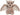 Mini Flappie Soft Bat
