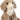 Beardie Billy Goat Soft